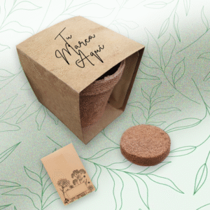 Mini huerto con macetero de fibra natural